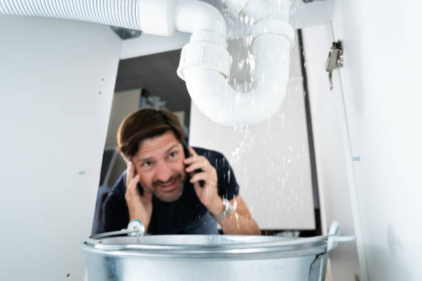 Best Toilet Repair Services  in Allardt, TN