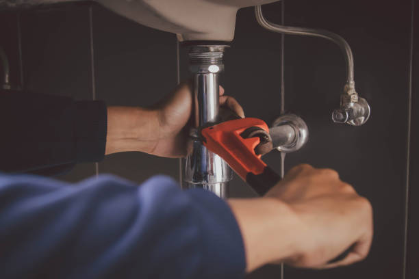 Best Plumbing Inspection Services  in Allardt, TN